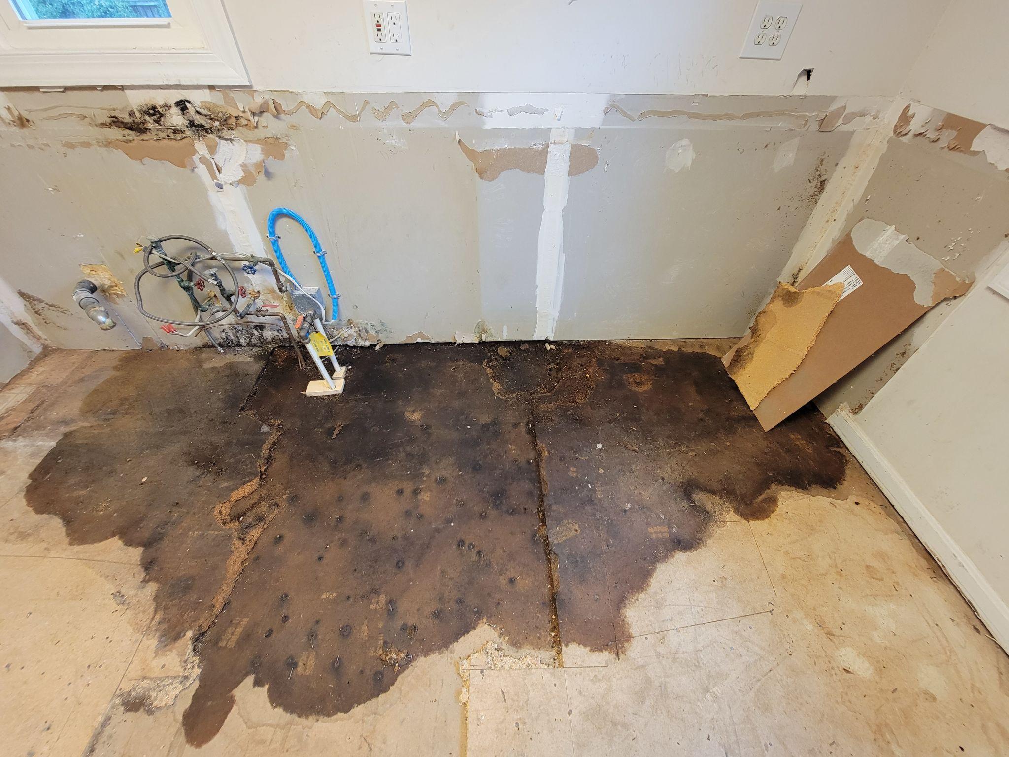 Water damage from a slab leak — stained subfloor and gutted drywall behind washer and dryer hookups